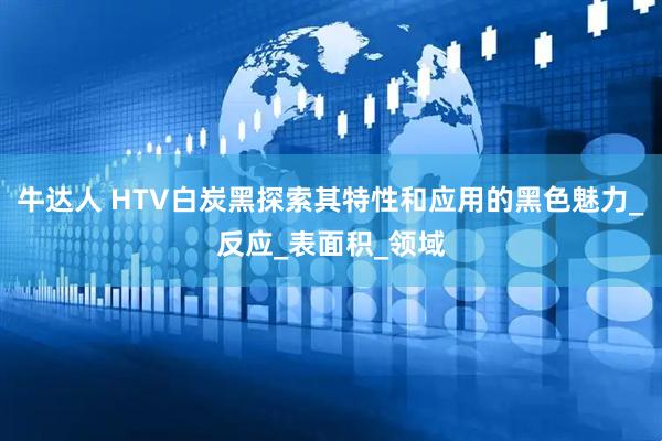 牛达人 HTV白炭黑探索其特性和应用的黑色魅力_反应_表面积_领域